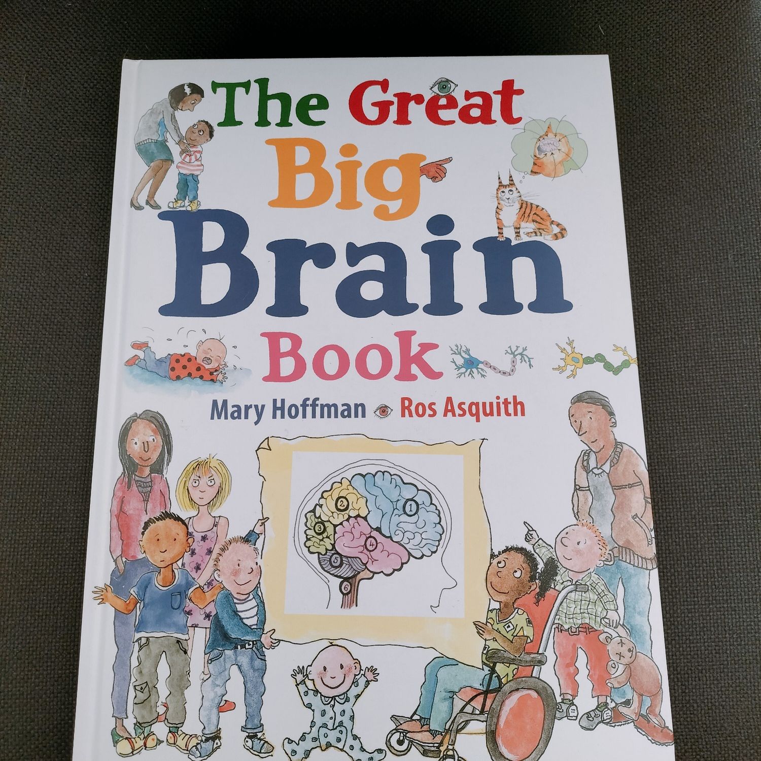 The Great BIG Brain Book by Mary Hoffman and Ros Asquith