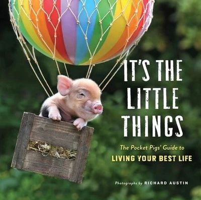 Its the Little Things