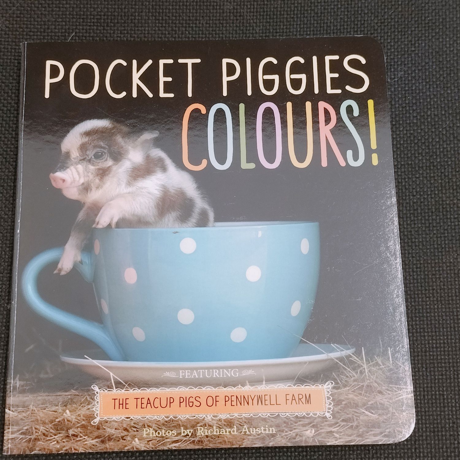 (BB) Pocket Piggies - Colours