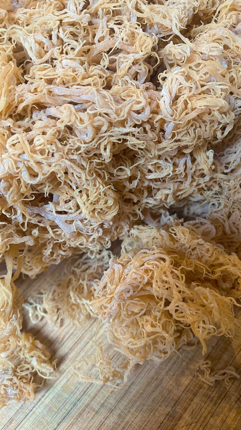 Wildcrafted Gold Sea Moss From the pristine waters St Lucia