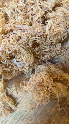 Wildcrafted Gold Sea Moss From the pristine waters St Lucia