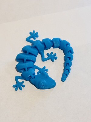 Flexible Lizard