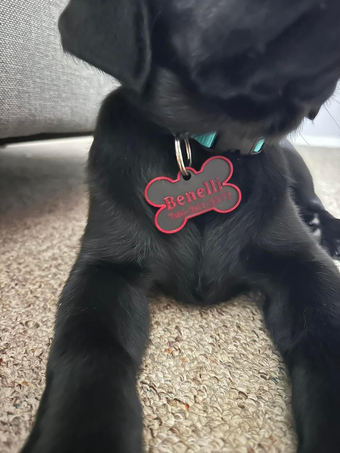 Custom Pet Nametag