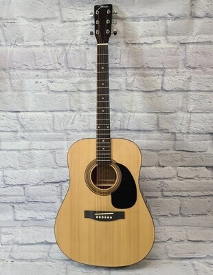 Johnson Guitar