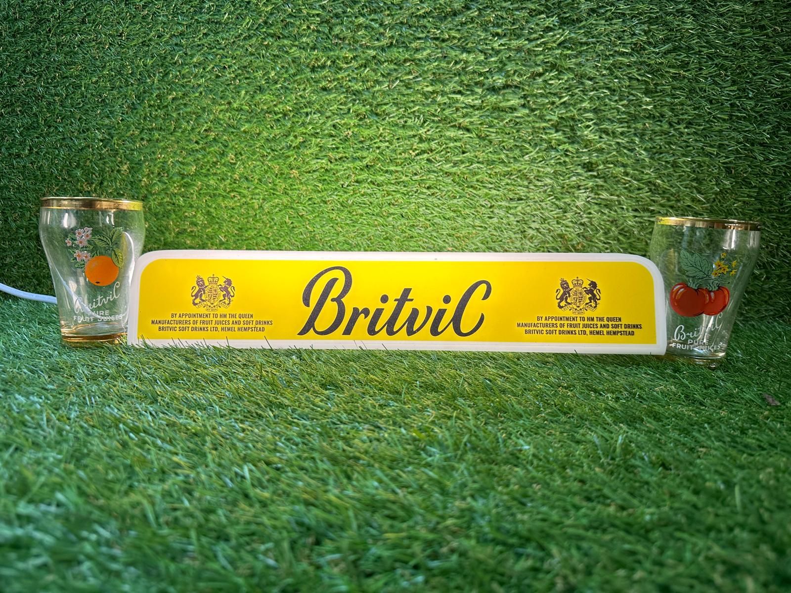 Vintage Golden Rim BritviC Glasses