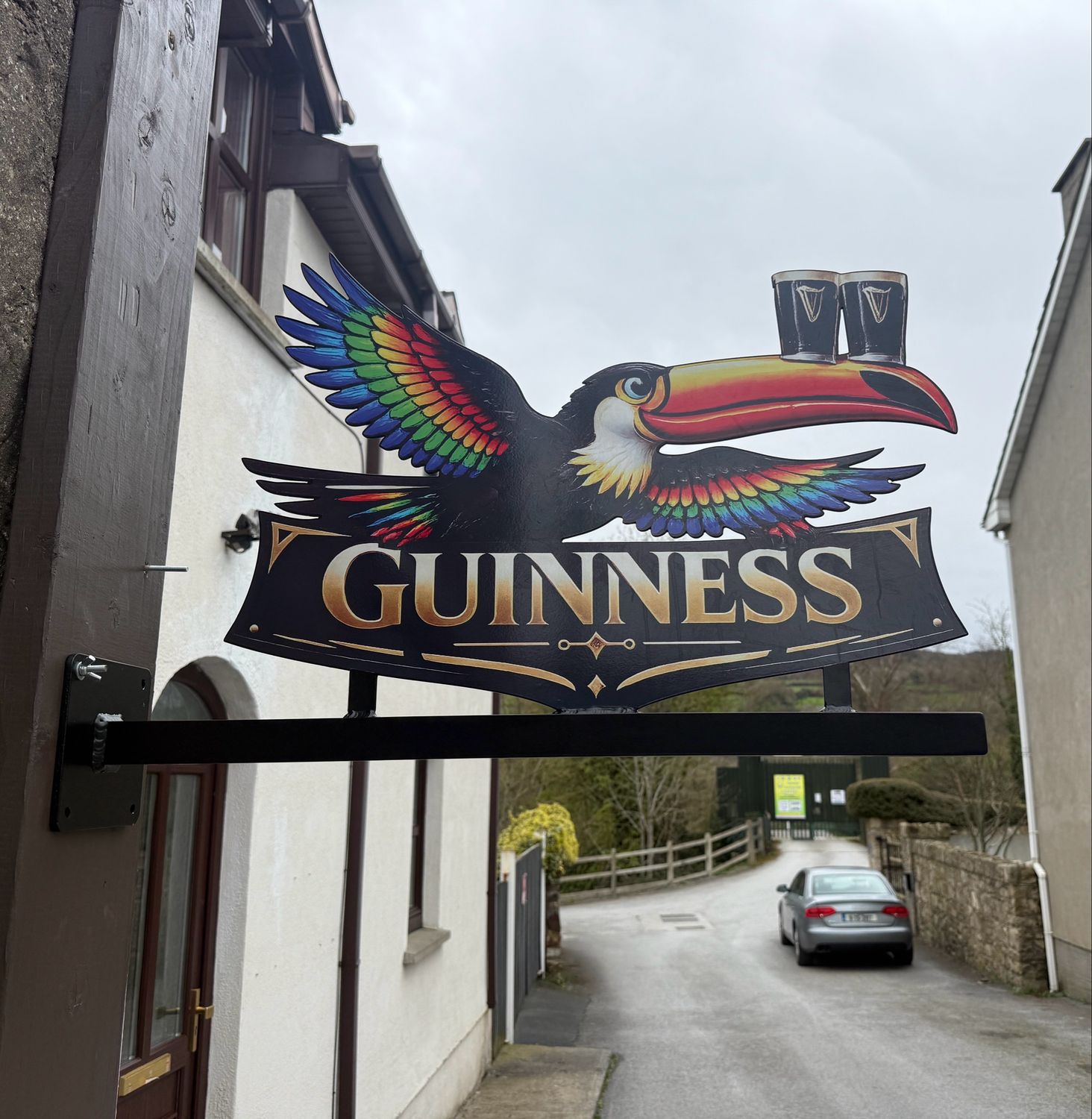 Toucan Flying Toucan Flying