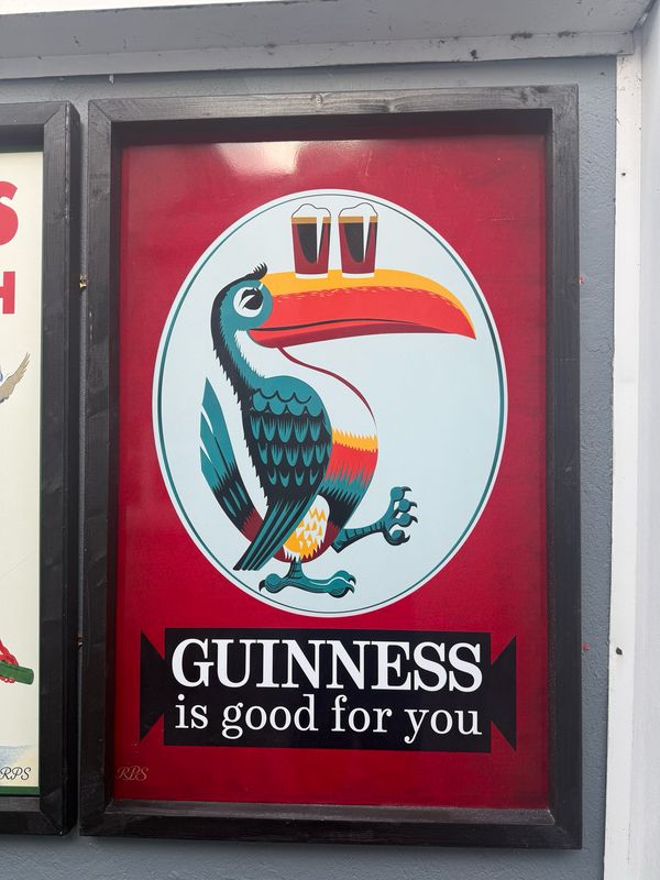 Beer Garden Toucan