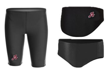 Appoquinimink HS - Brief