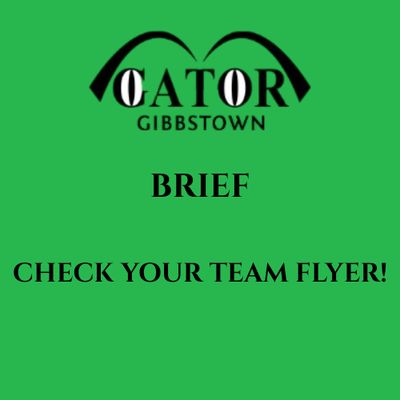 GIBBSTOWN - BRIEF