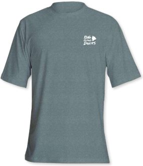 Antix (Short Sleeve), Color: Heather Sage, Size: Small