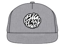 BID New Logo Hat