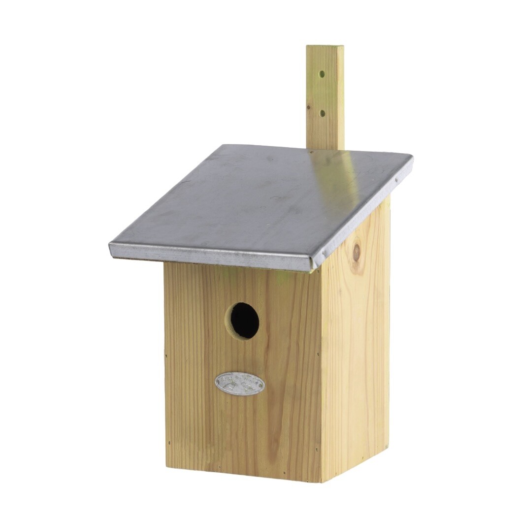 Spiegelnestkast vogels