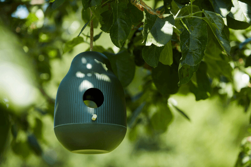 Voederhuis vogels hoog groen