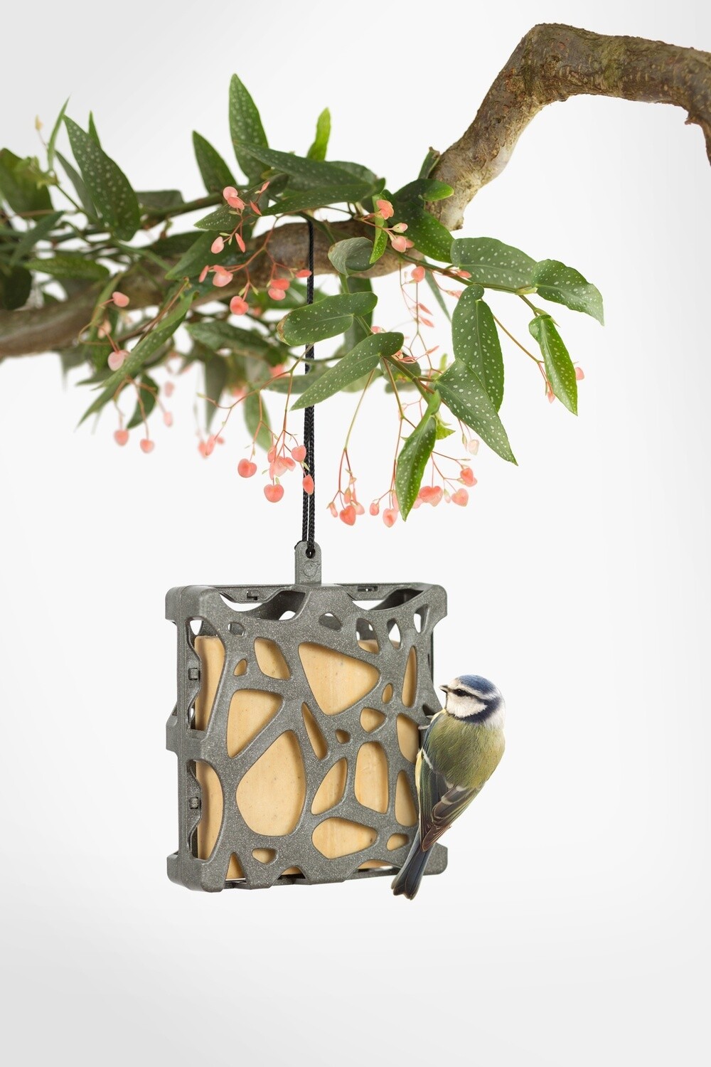 Hello Anna vetblok hanger vogels