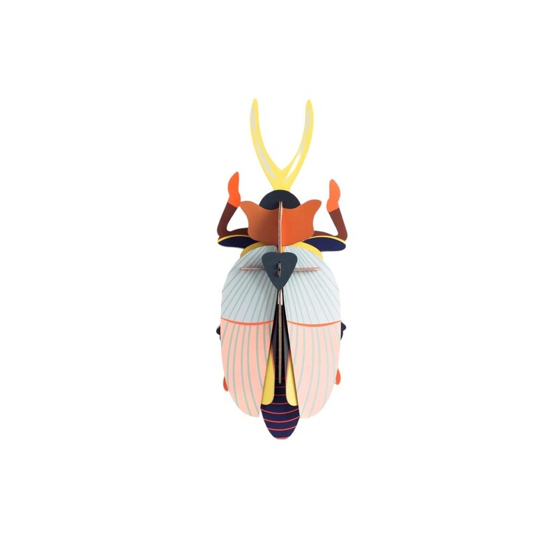 Studio ROOF · Rhinoceros beetle