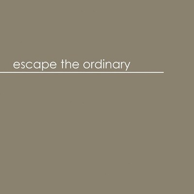 Servetten bruin &#39;Escape the ordinary&#39;