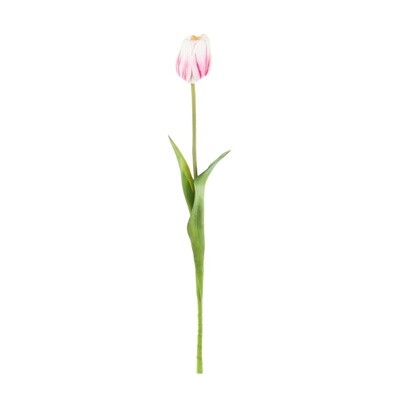 Zijden bloemen Tulp wit / roze