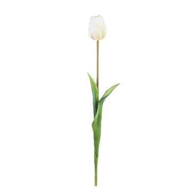 Zijden bloemen Tulp wit