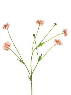 Zijden bloemen &amp; droogbloemen