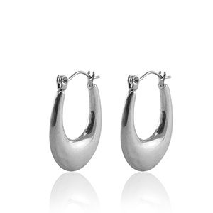 Oorbellen creolen oval silver