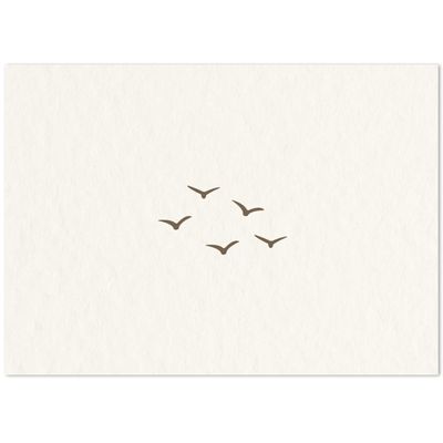 Postkaart · Zwerm vogels