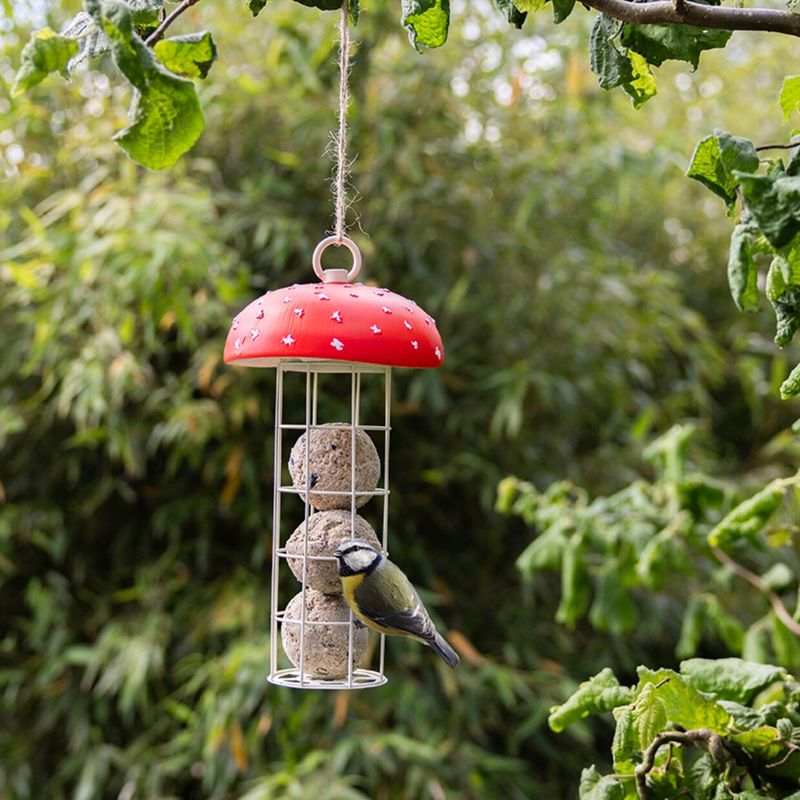 Vliegenzwam vetbollen silo vogels