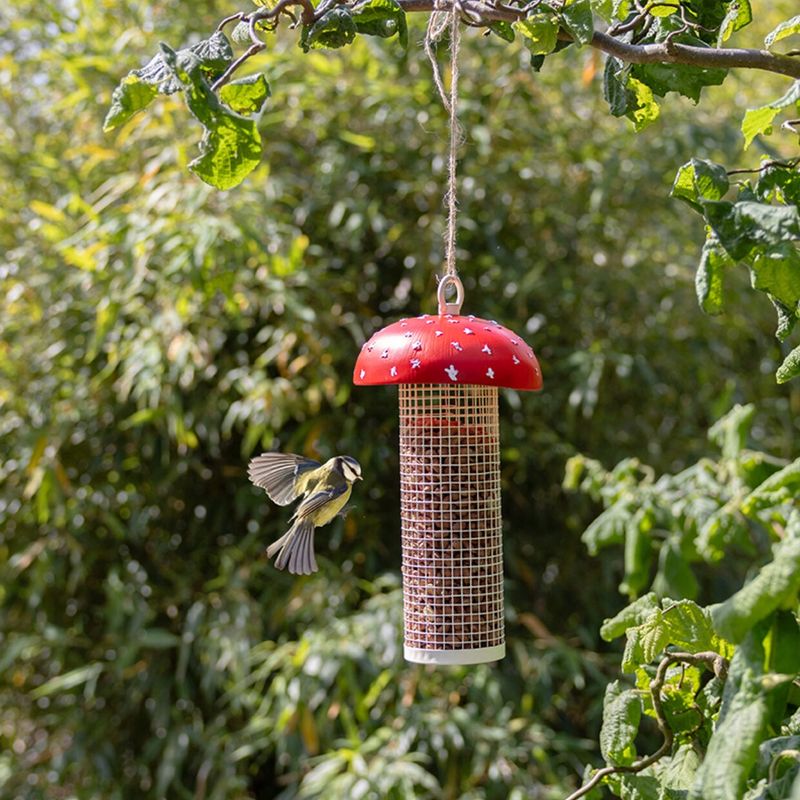 Vliegenzwam noten- silo vogels
