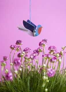 Studio ROOF · Lucky Charm Dove