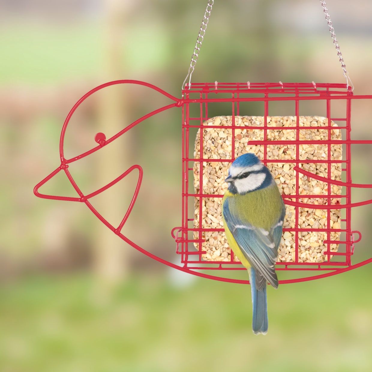 Vetblokhouder vogel · rood