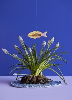 Studio ROOF · Lucky Charm fish