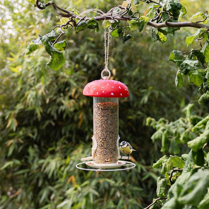 Vliegenzwamvoedersilo vogels