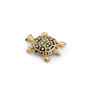 Broche · schildpad