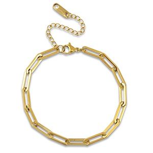 Armband gold stainless steel schakels · basic