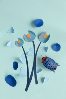 Studio ROOF · Fungus Beetle