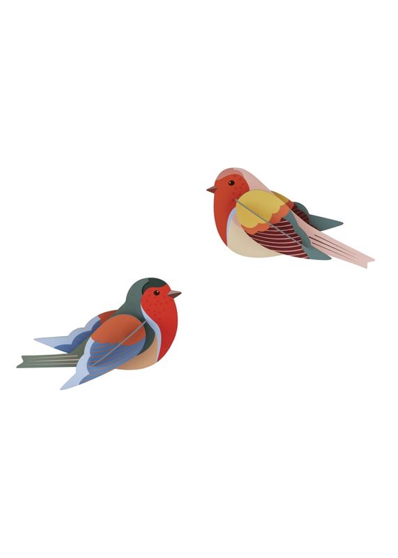 Studio ROOF · Robins