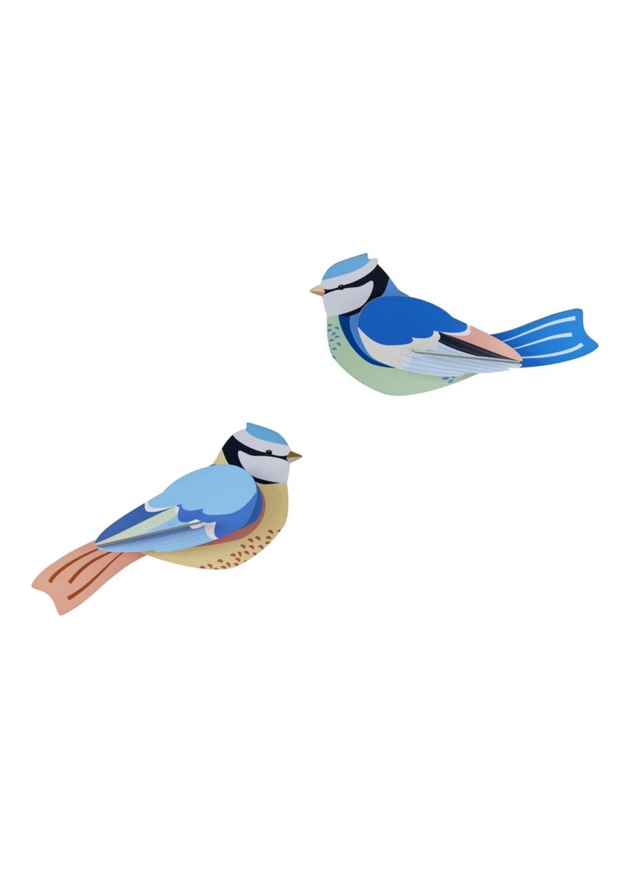 Studio ROOF · Blue Tits
