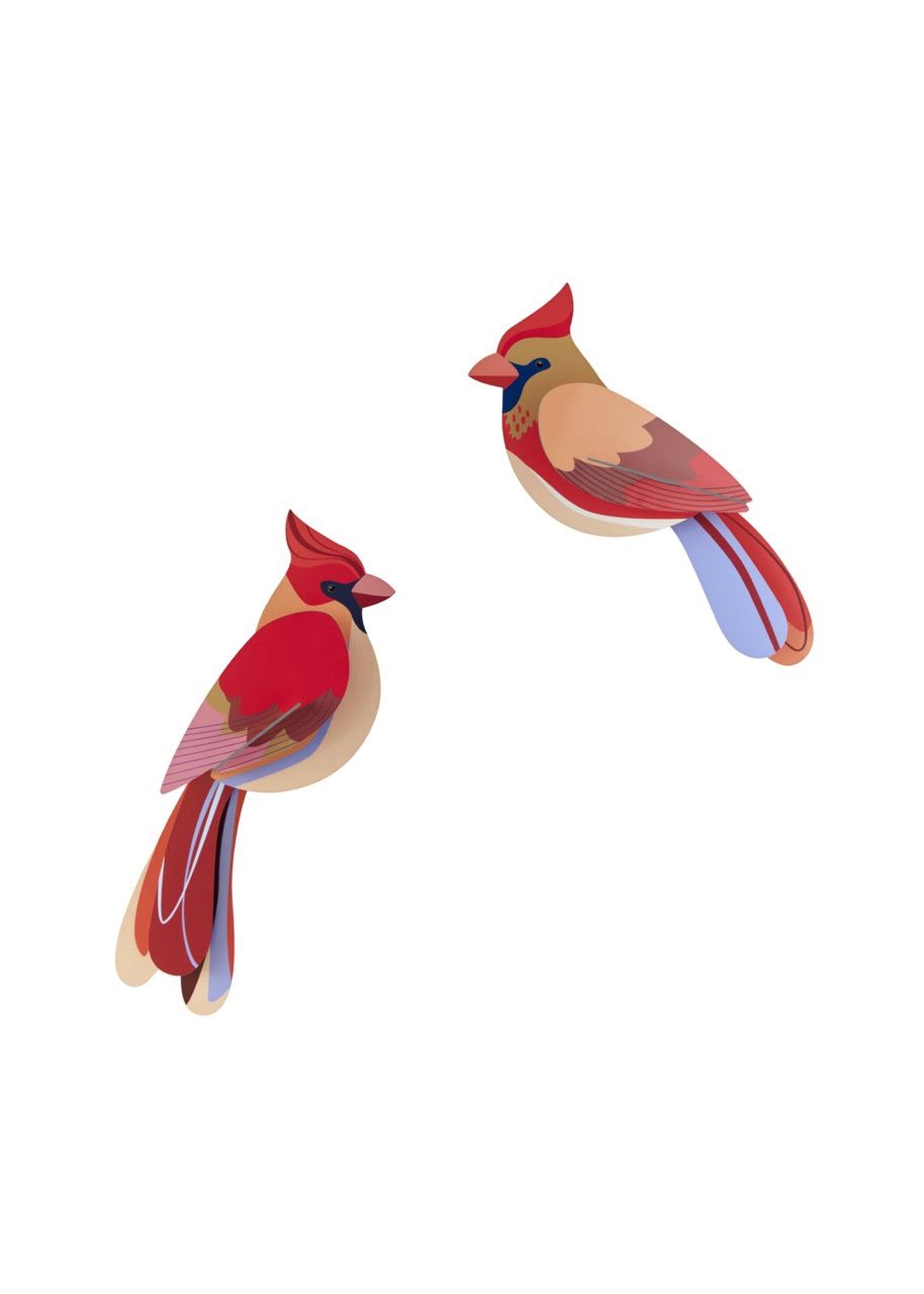 Studio ROOF · Cardinals