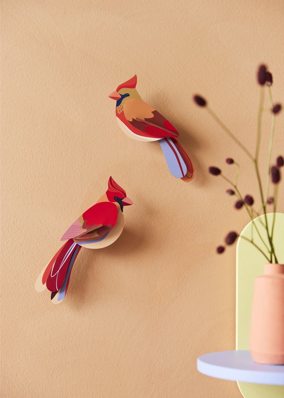Studio ROOF · Cardinals