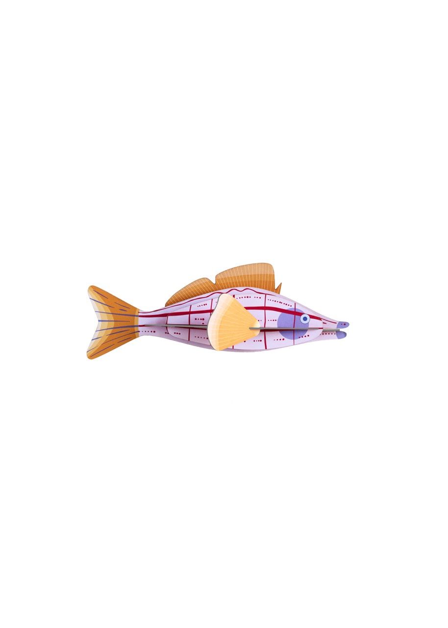 Studio ROOF · Longnose Hawkfish