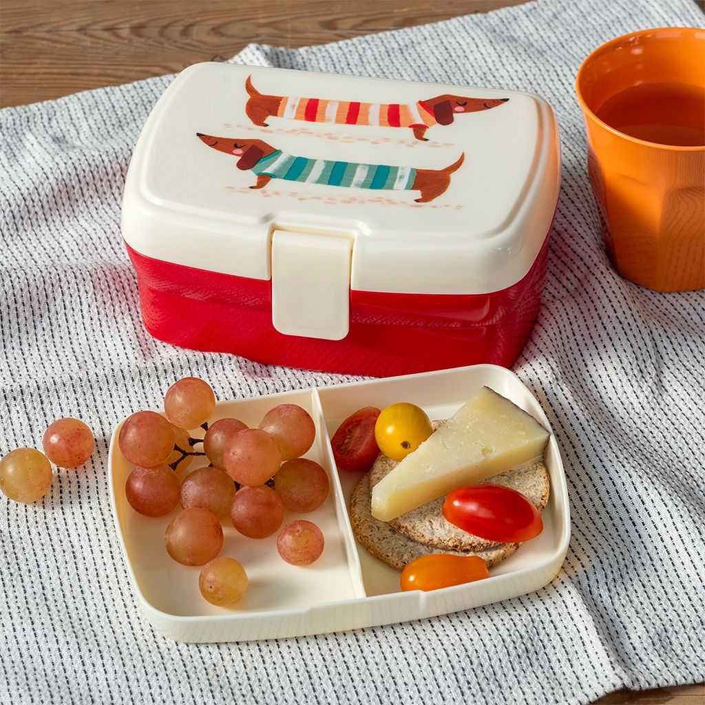 REX · Lunch box - Teckel