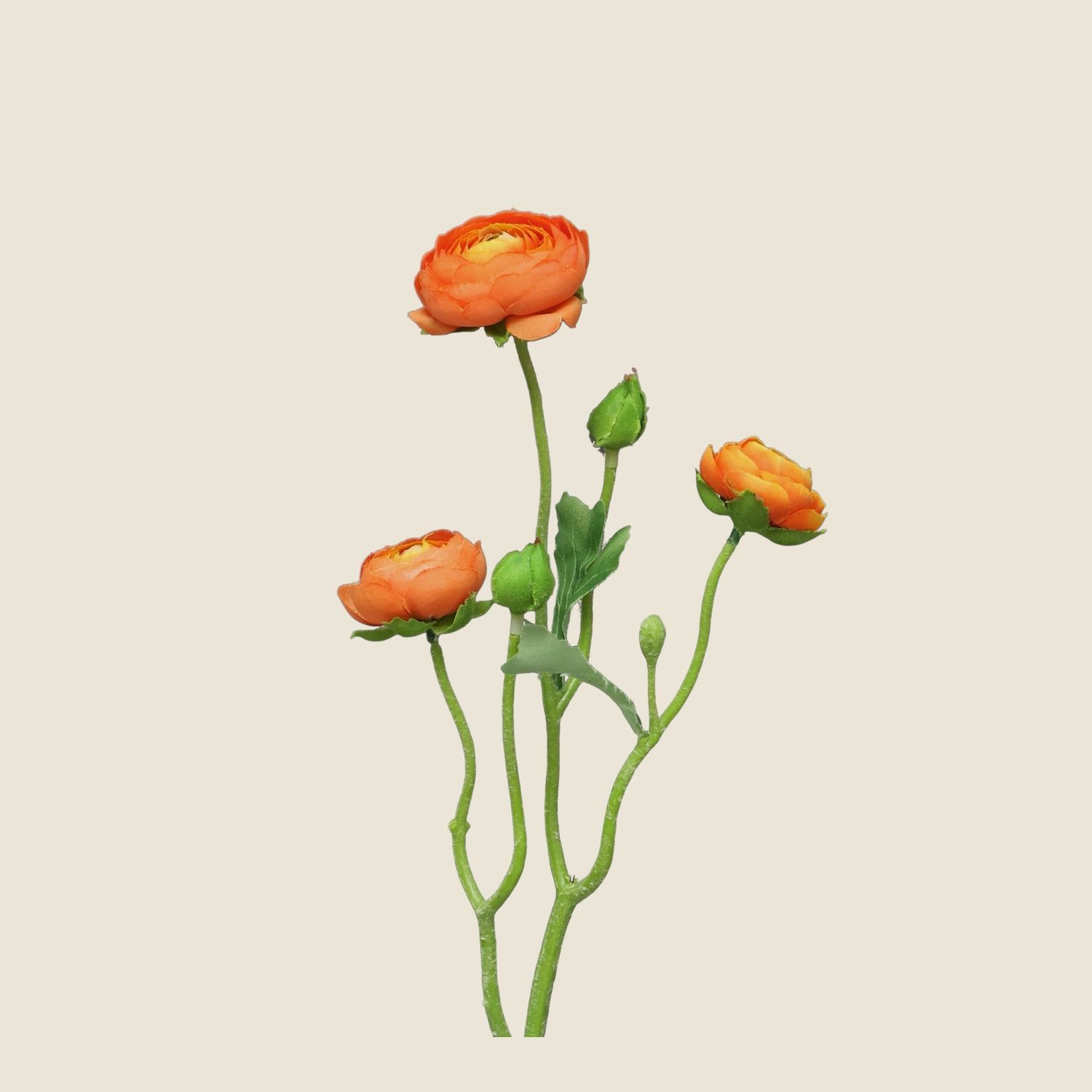Zijden bloem &#39;Ranonculus Azura&#39; · Orange
