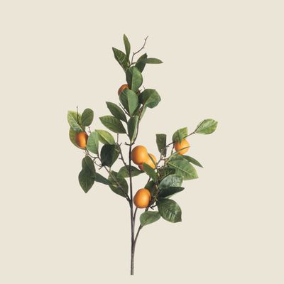 Zijden &#39;Orange Branch&#39; sinaasappel tak · orange
