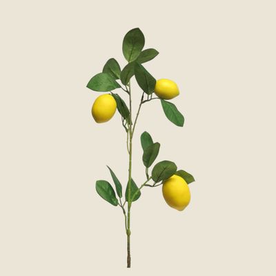 Zijden &#39;Lemon sinensis&#39; citroen tak · yellow