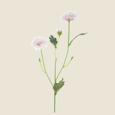 Zijden bloem &#39;Dendranthema&#39; · pink