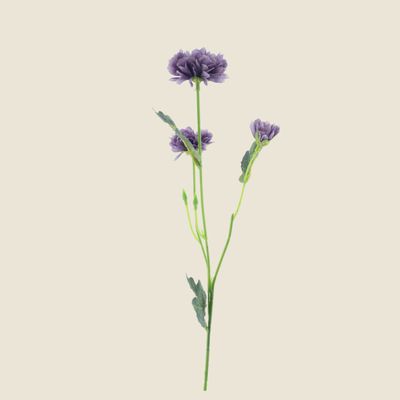 Zijden bloem &#39;Dendranthema&#39; · purple