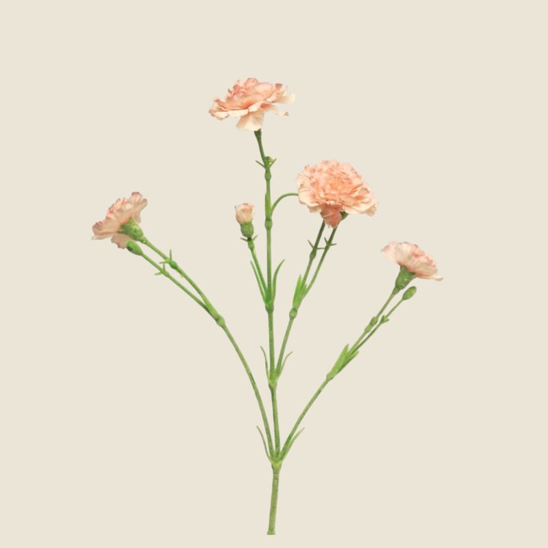 Zijden bloem 'Dianthus Charly' · pink