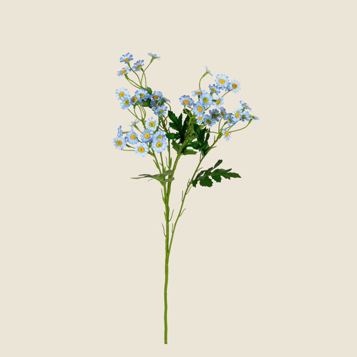 Zijden bloemen &#39;Margrietje&#39; · blauw