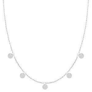 Ketting stainless steel silver · muntjes