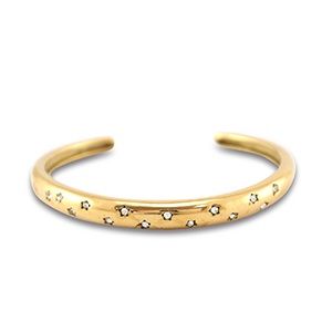 Bangle armband gold smal diamond