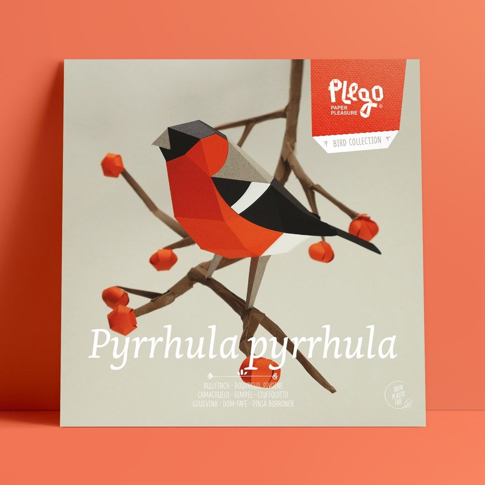 Plego · papieren goudvink vogel &#39;Pyrrhula pyrrhula&#39;